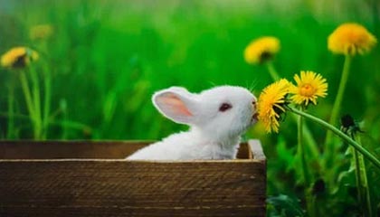 星空体育官方入口——开启你的运动星空之旅